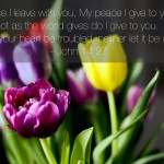 Peace {Be Encouraged with Kristina}