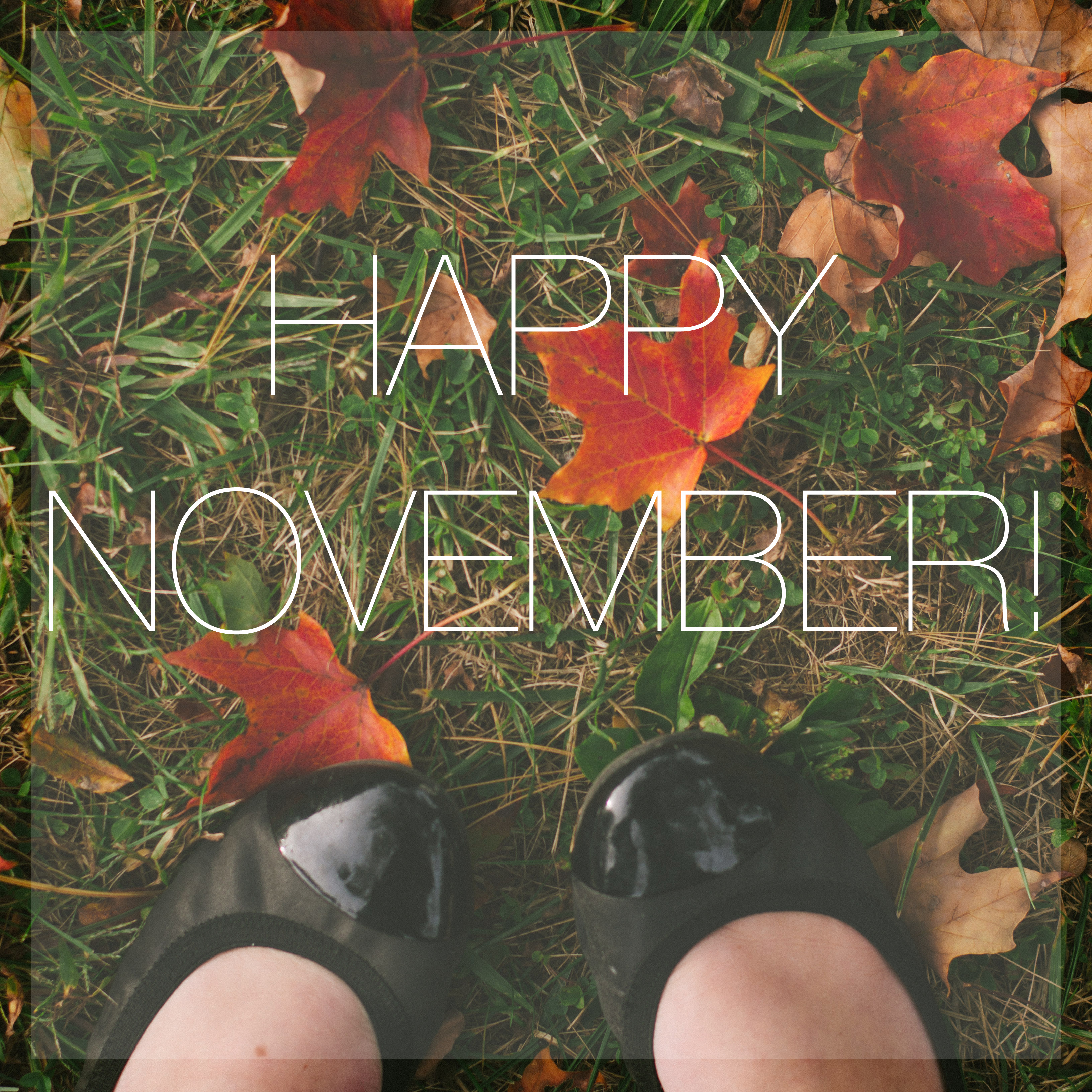 happynovember