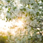 {Be Real} Patient in Hope