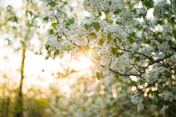 delight_and_be_patient_in_hope_future_god_patience_0001