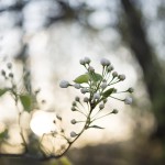 {Be Real} Present to the Process
