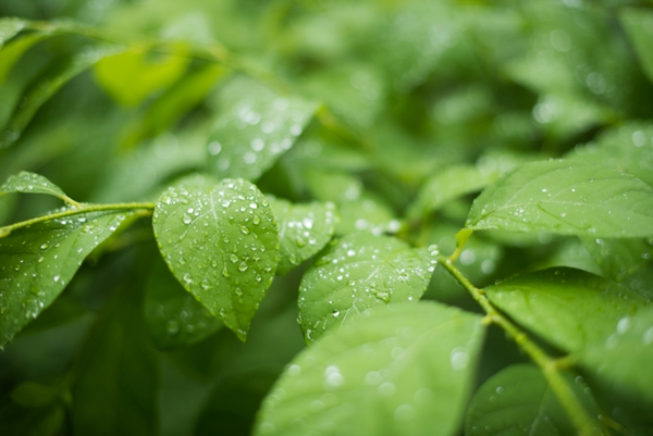 delight_and_be_see_gods_goodness_0001