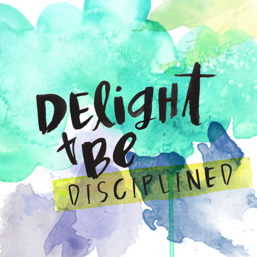 delight-and-be-disciplined-insta+blog