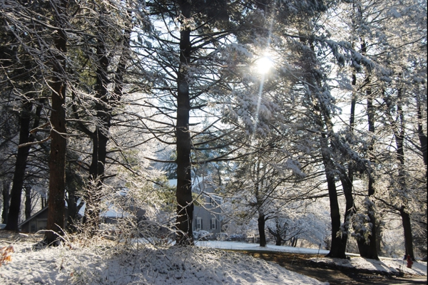 delight_and_rejoice_christmas_inviting_jesus_in_open_heart_love_joy_peace_hope_0001