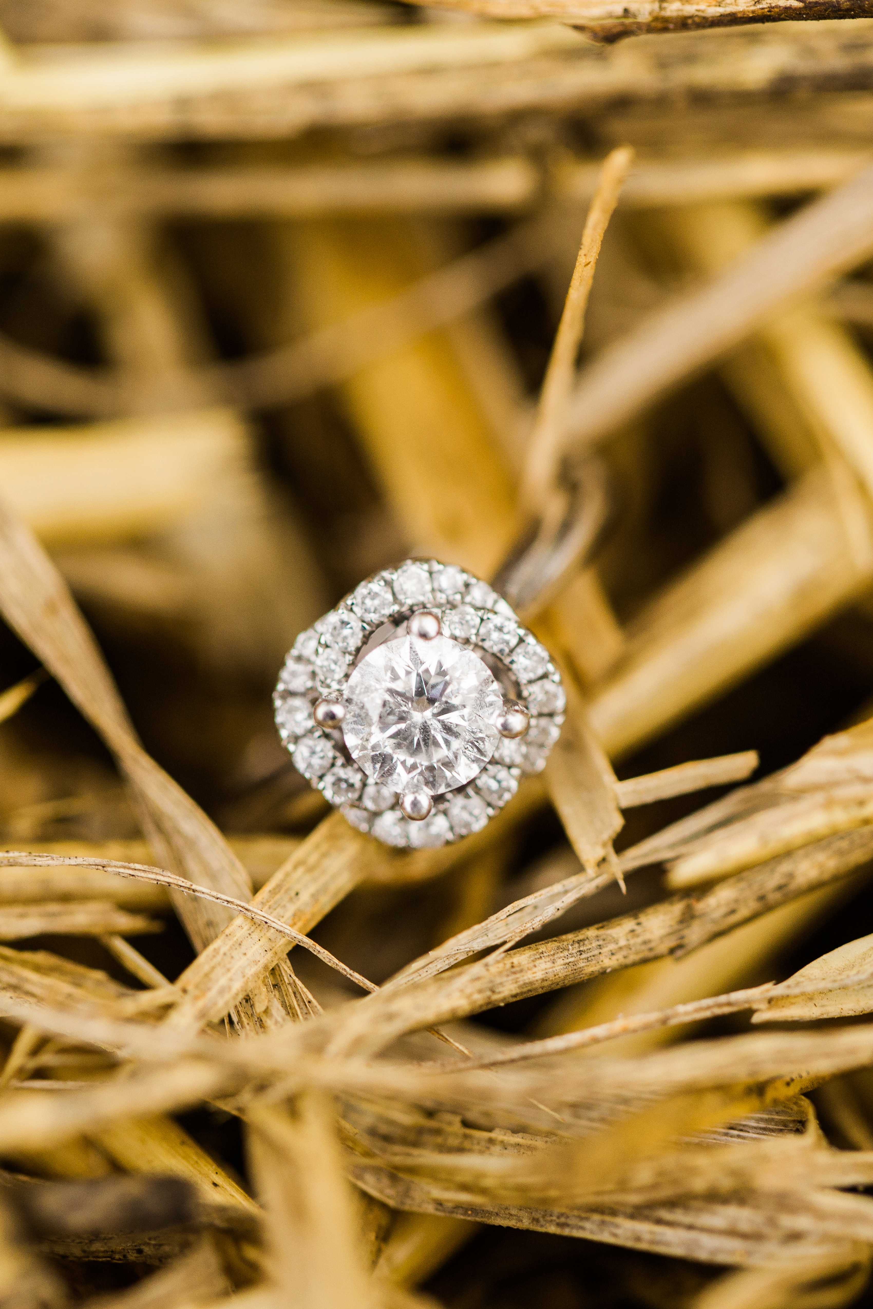 Laura Ashley Photography