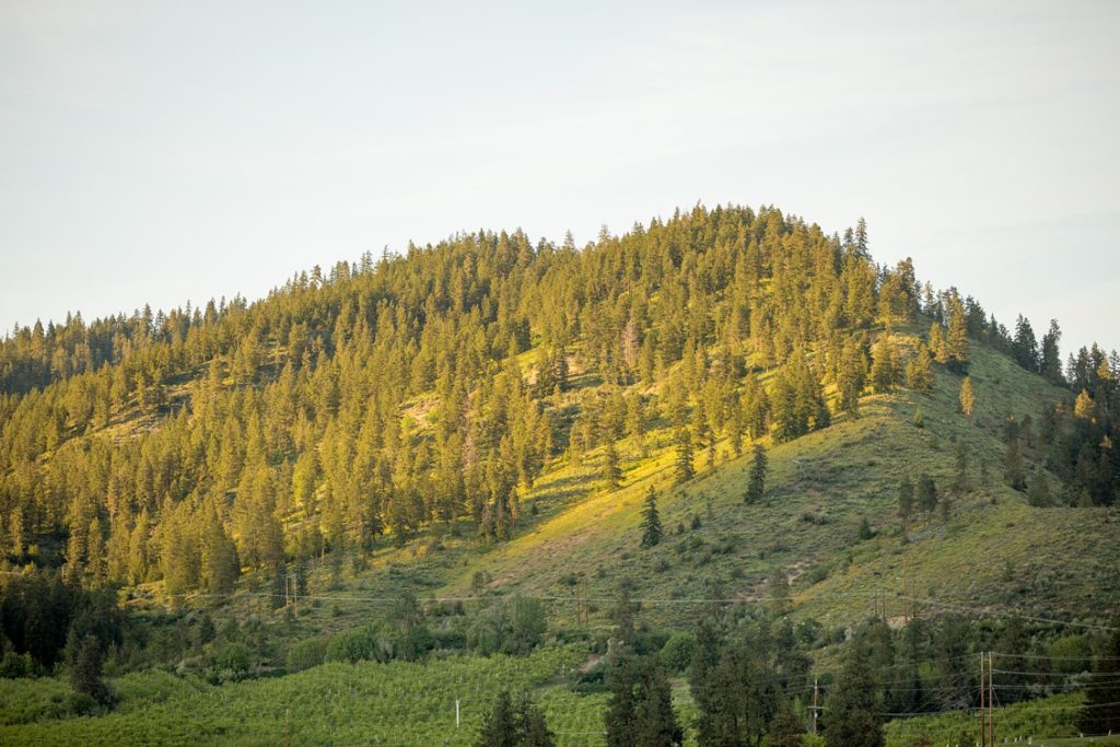 Delight + Be Retreat | Leavenworth, WA | Lifesong Photography_0055