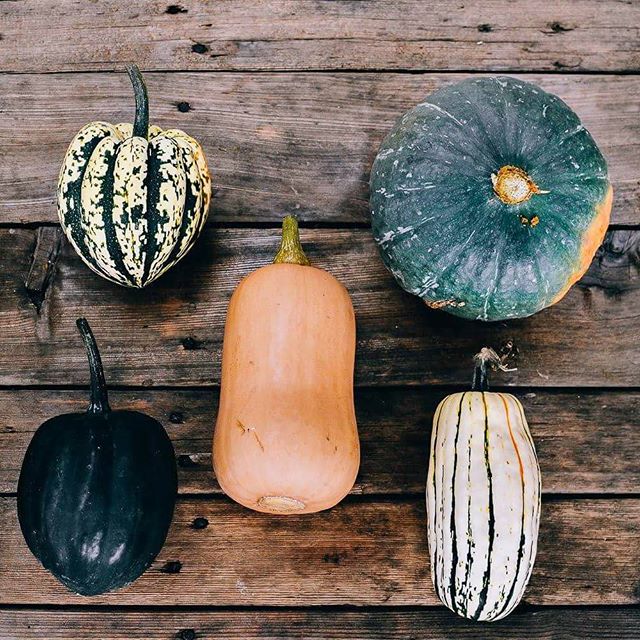 fall and winter cooking